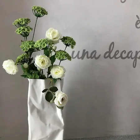 Picinque B Appartement