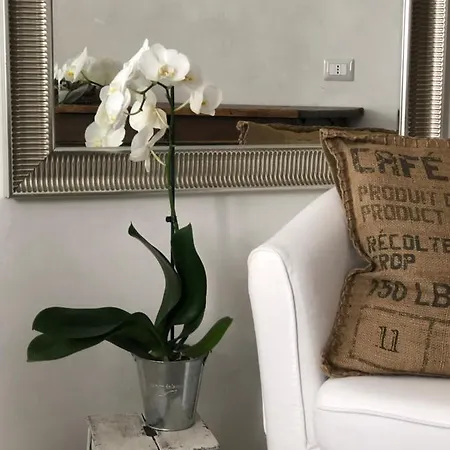 Appartement Picinque B